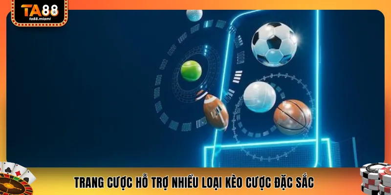 Trang cược hỗ trợ nhiều loại kèo cược đặc sắc 